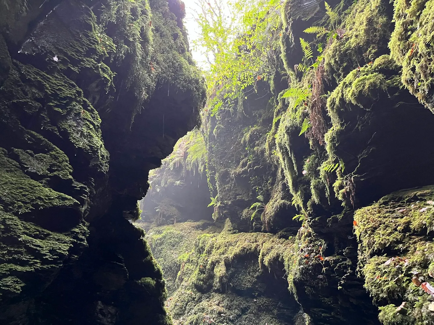 Photo of Lydford Gorge, a gorge near Okehampton in Dartmoor, Devon, south west England.