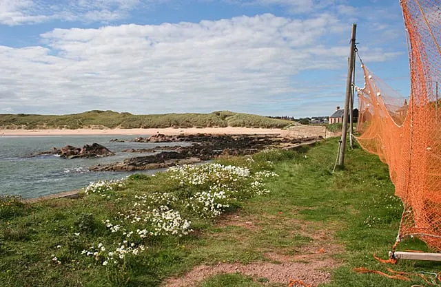 Photo of Cruden Bay Beach, a beach in Aberdeenshire, north east Scotland.