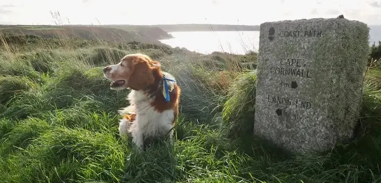 Photo of the coast at St Just Sites, Cornwall, south west England.