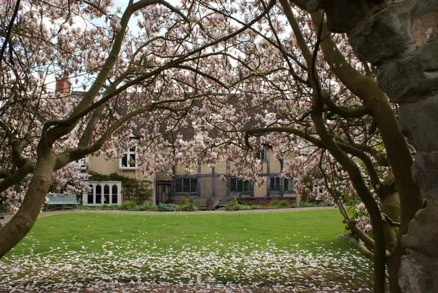 Photo of The Master's Garden, a garden in Warwickshire, central England.