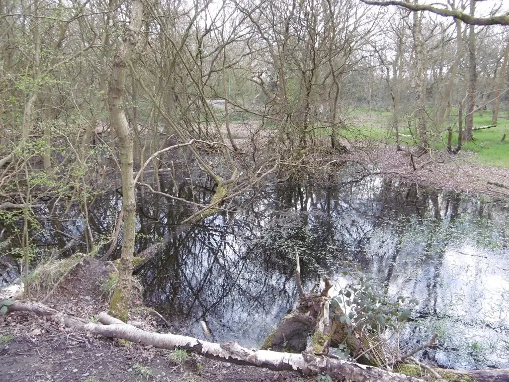 Photo of Roughwood Country Park, a country park near Wolverhampton, the West Midlands, central England.