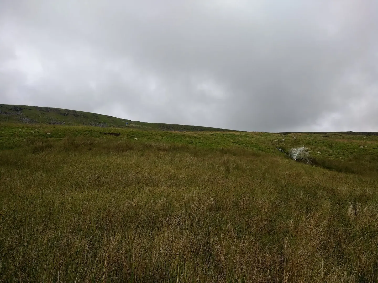 Photo: Gragareth, a 628m hill near Ingleton in the Yorkshire Dales, Lancashire, north west England.