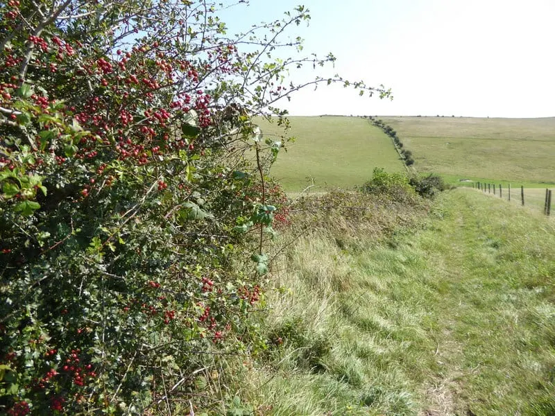 Photo of Shoreham Gap and Southwick, a country estate near Fulking in the South Downs, West Sussex, south east England.