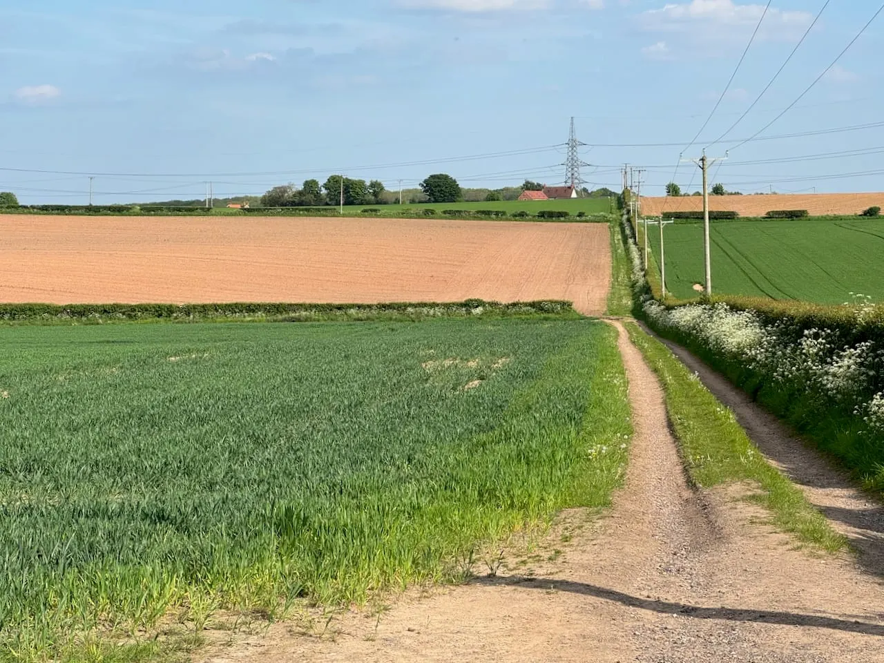 Photo along the Robin Hood Way, a 105-mile long-distance path running from Nottingham Castle to Edwinstowe, central England.