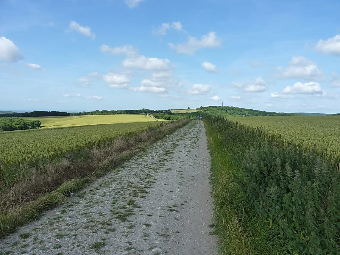 Photo: Bignor Hill (Stane Street), a viewpoint in the South Downs, West Sussex, south east England.