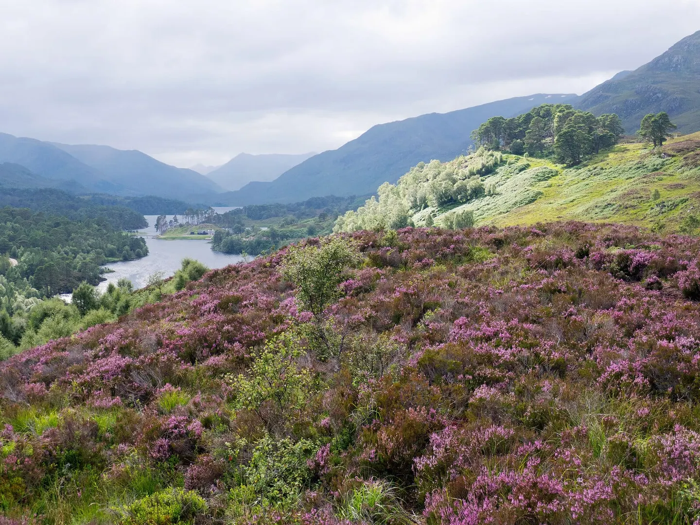 Photo: Glen Affric Viewpoint, a viewpoint near Cannich, Highland, the Scottish Highlands and Islands.