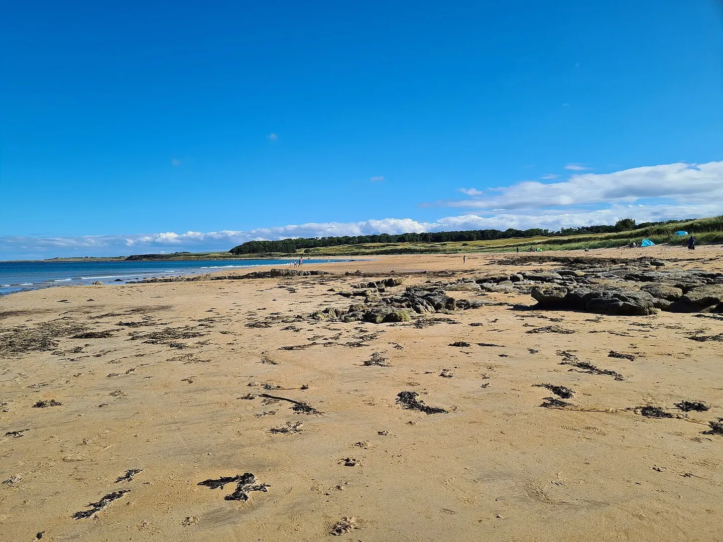 Photo of Kingsbarns Beach, a beach in Fife, central Scotland.
