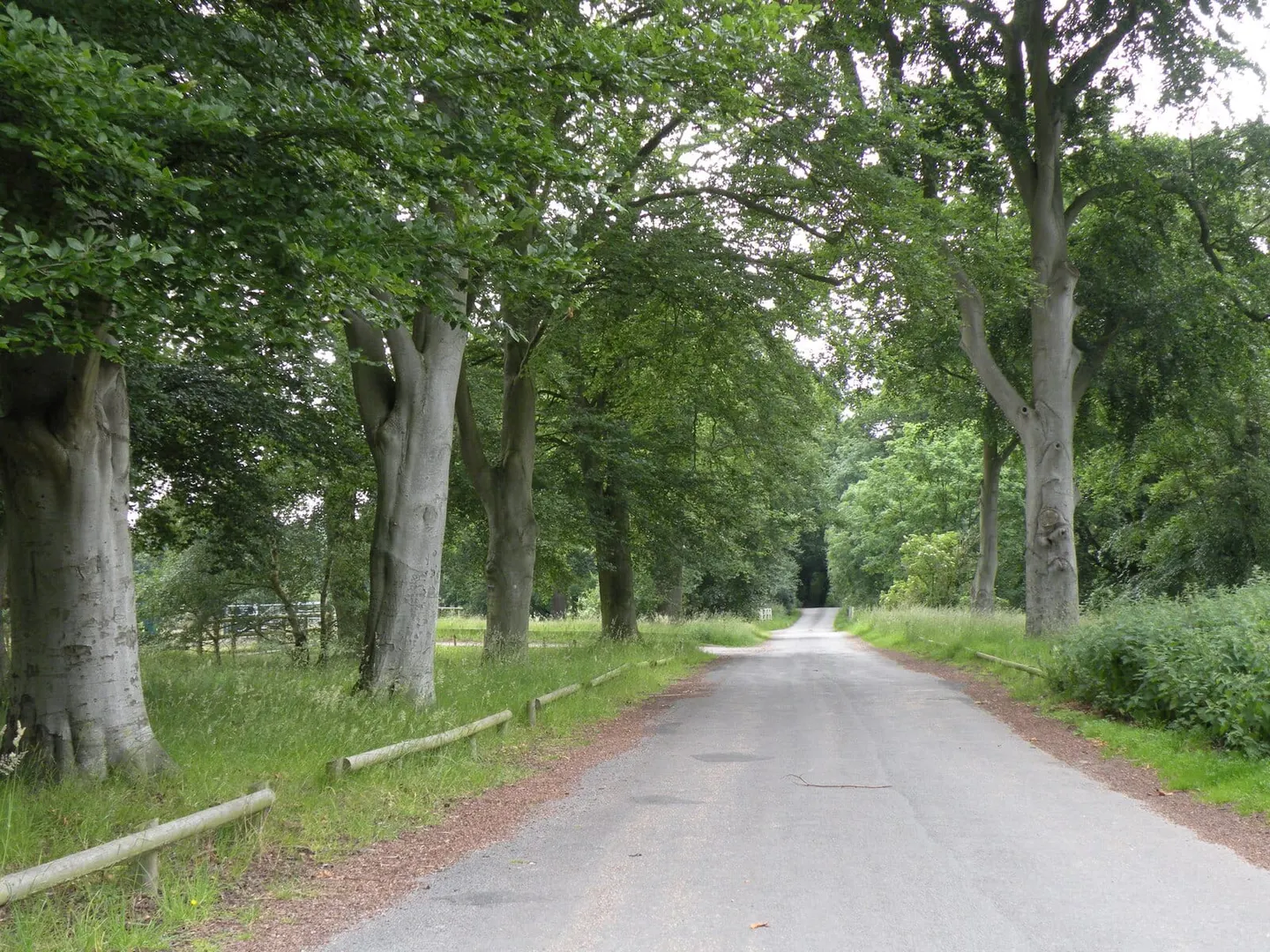Photo of Knettishall Heath Country Park, a country park near Harling Road, Suffolk, eastern England.