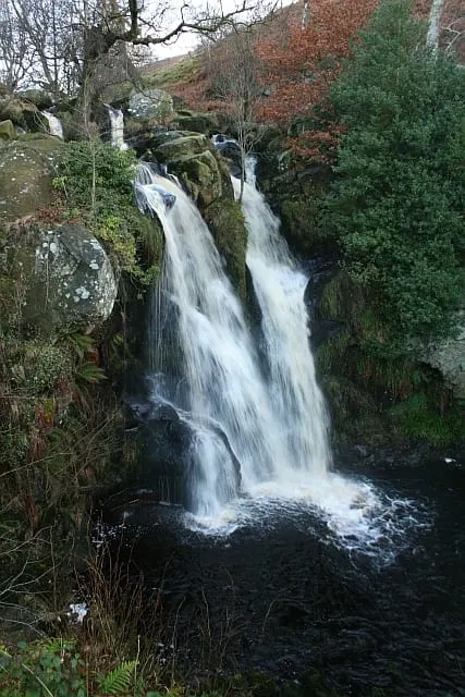 Photo of Valley of Desolation, a waterfall near Appletreewick in the Yorkshire Dales, North Yorkshire, northern England.