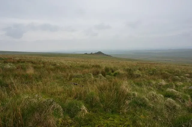 Photo of Trowlesworthy, a country estate near Ivybridge in Dartmoor, Devon, south west England.