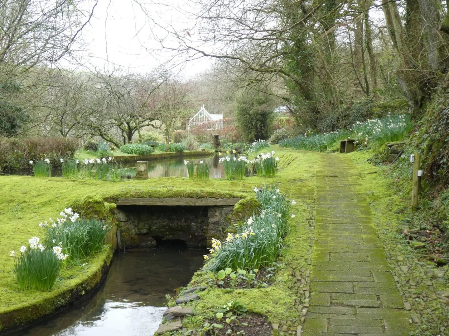 Photo of Docton Mill Gardens, a garden near Hartland, Devon, south west England.