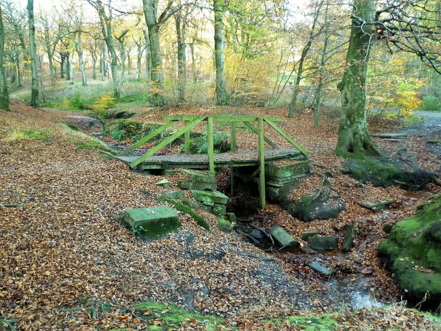 Photo of Tandle Hill Country Park, a country park near Rochdale, Greater Manchester, north west England.