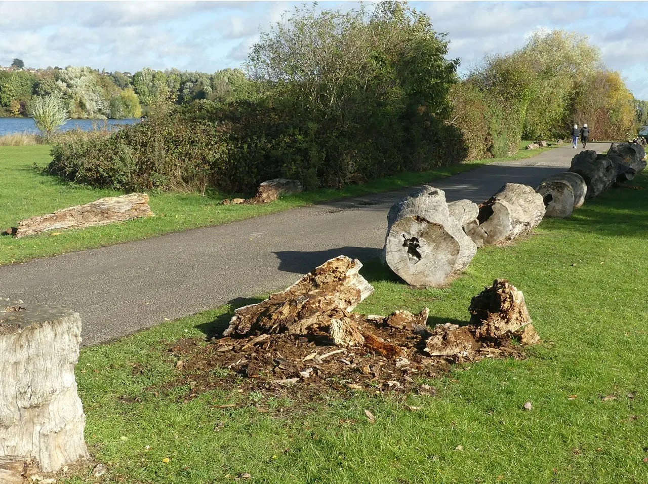 Photo of Colwick Country Park, a country park in Nottinghamshire, central England.