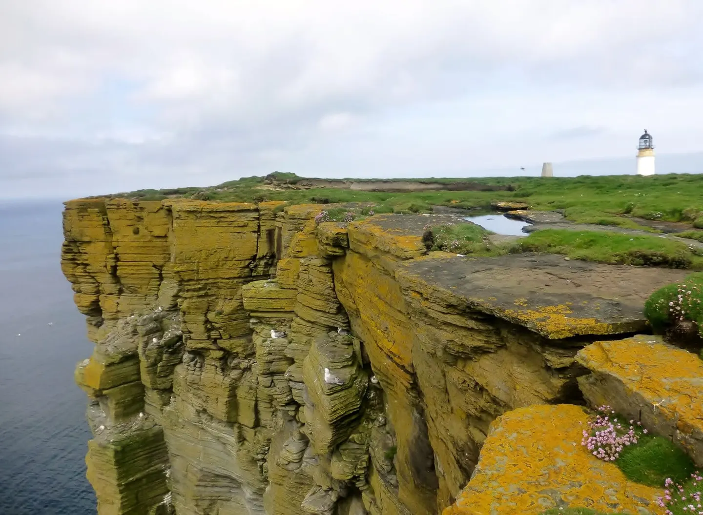 Photo of Noup Head, a nature reserve near Pierowall, the Orkney Islands, the Scottish Highlands and Islands.