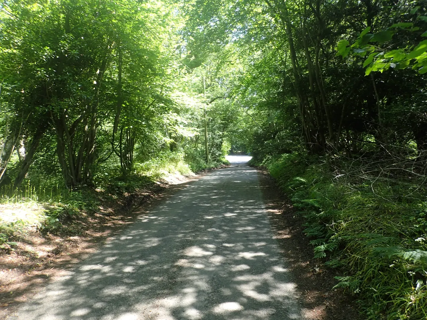 Photo of Nap Wood, a nature reserve near Rotherfield in the High Weald, East Sussex, south east England.