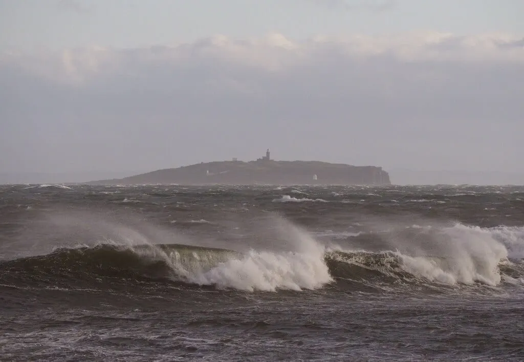 Photo of the Isle of May, an island in Fife, central Scotland.