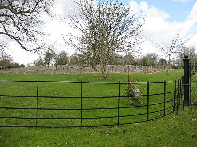 Photo of Ancre Hill Estates, a vineyard in Monmouthshire, south east Wales.