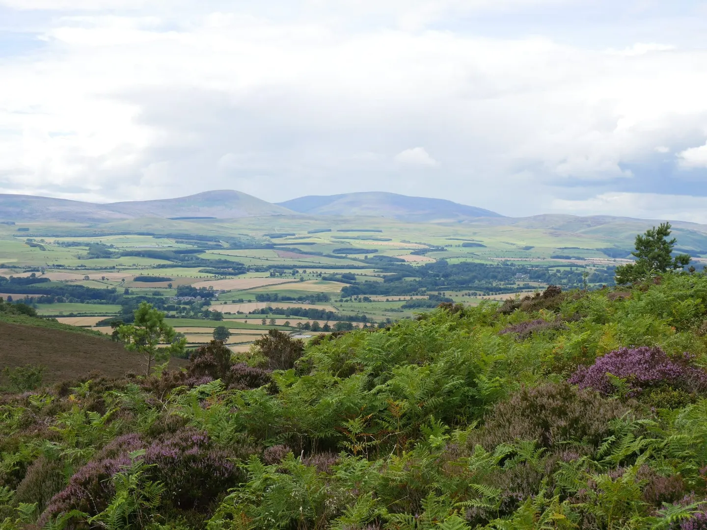 Photo: The Cheviot, an 816m hill near Kirk Yetholm, Northumberland, north east England.