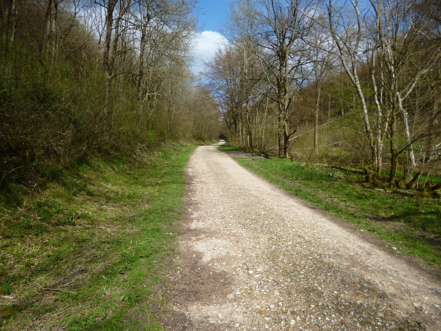 Photo of Queen Elizabeth Country Park, a country park near Buriton in the South Downs, Hampshire, south east England.