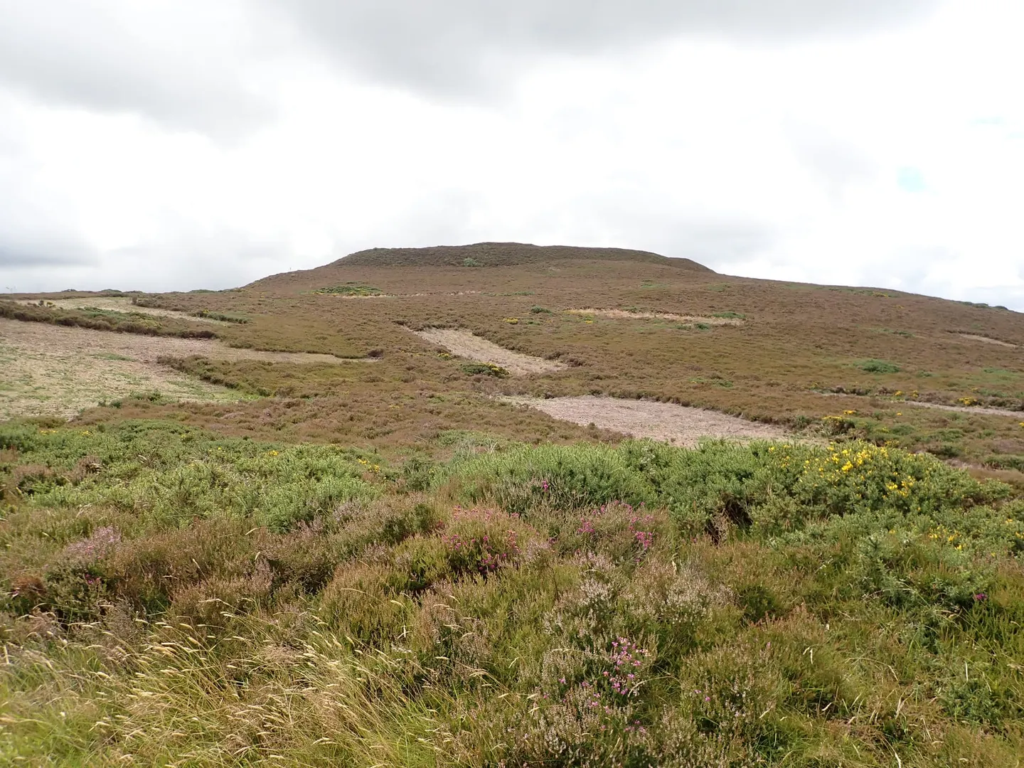 Photo: Moel Arthur, a viewpoint near Cilcain in the Clwydian Range & Dee Valley, Flintshire, north Wales.