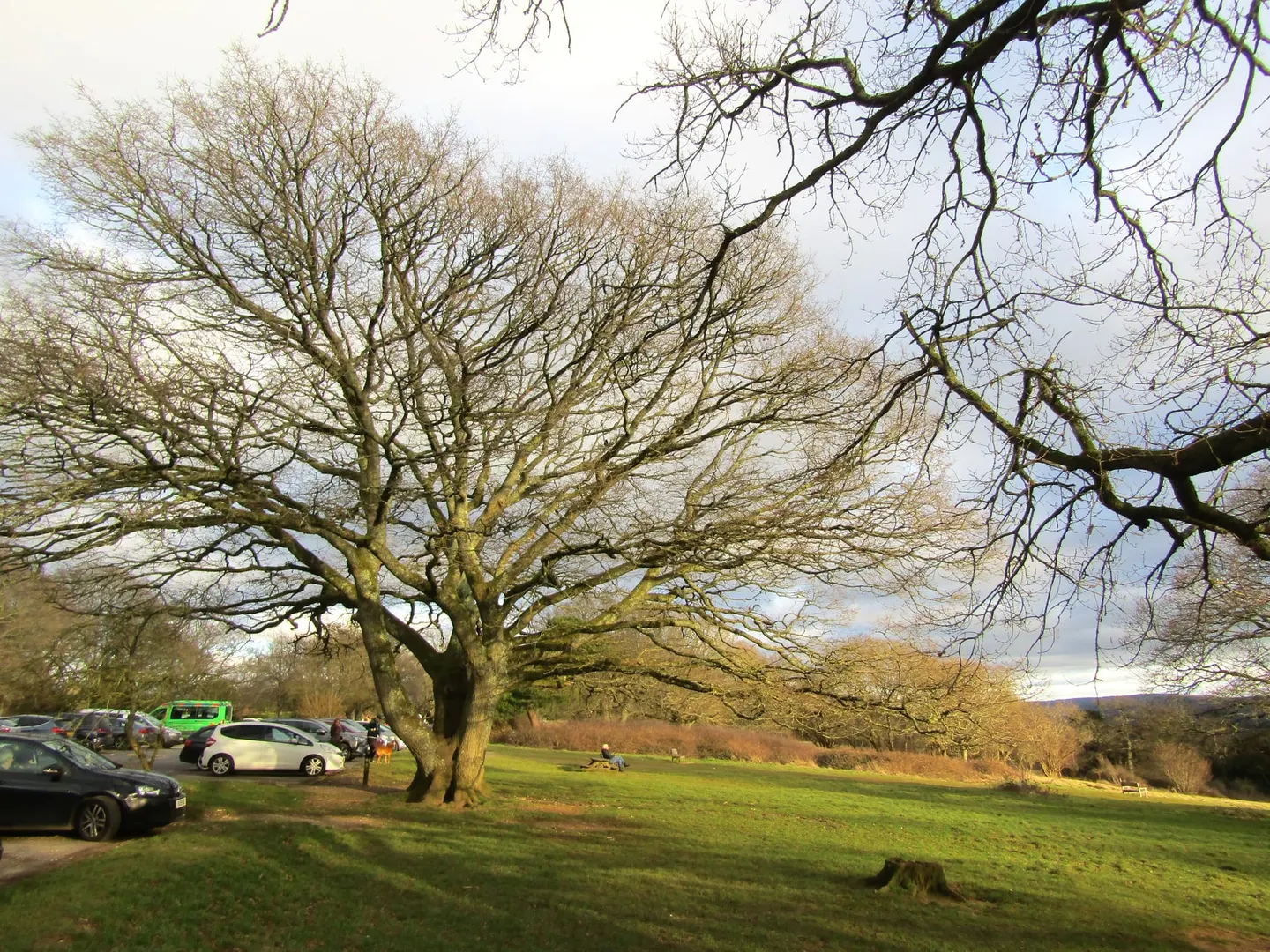 Photo: Newlands Corner, a viewpoint near Albury, Surrey, south east England.