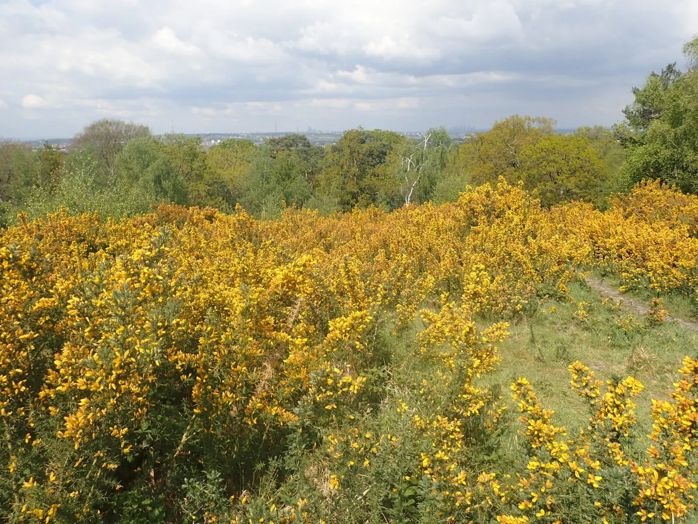 Photo along the London LOOP, a 150-mile long-distance path running from Erith to Purfleet, England.