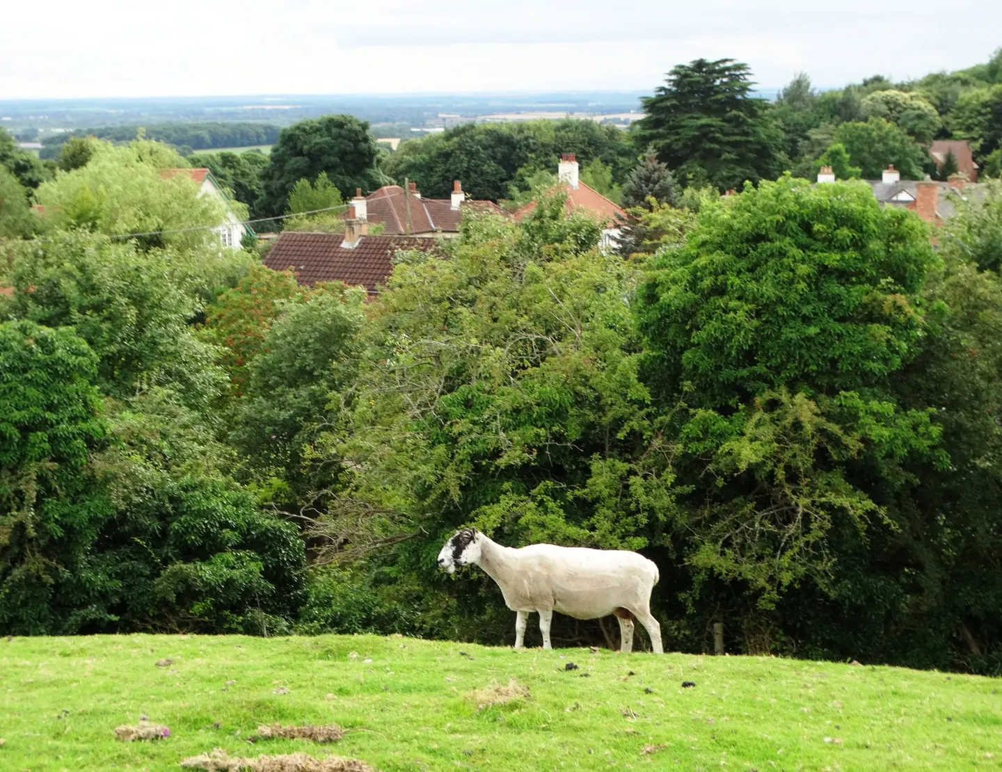 Photo: Beacon Hill, Gringley, a viewpoint near Gringley on the Hill, Nottinghamshire, central England.