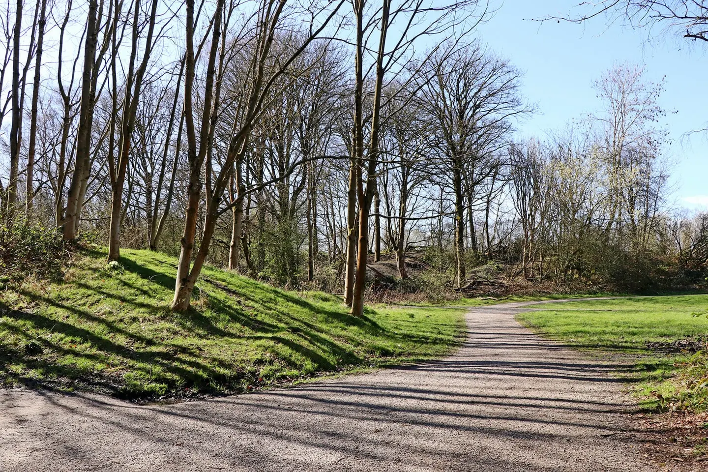 Photo of Baggeridge Country Park, a country park near Wolverhampton, Staffordshire, central England.