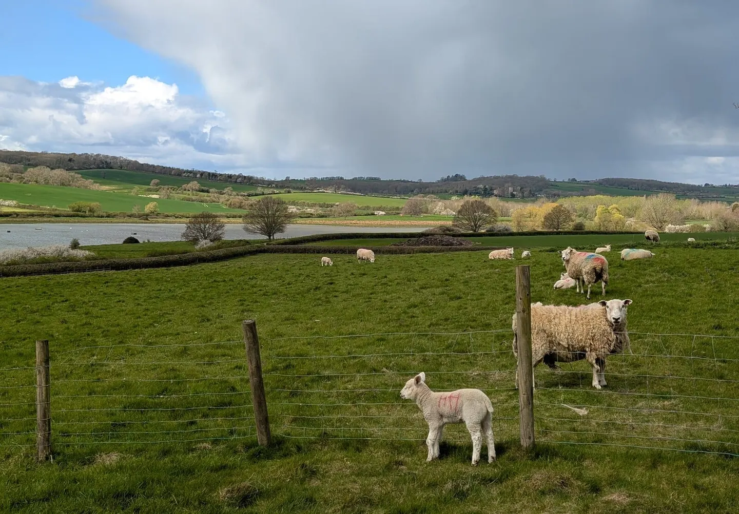 Photo of Eyebrook Reservoir, a reservoir near Stoke Dry, Rutland, central England.