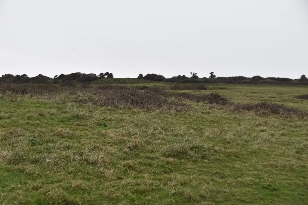 Photo of Bembridge Down, a Site of Special Scientific Interest near Brading, the Isle of Wight, south east England.