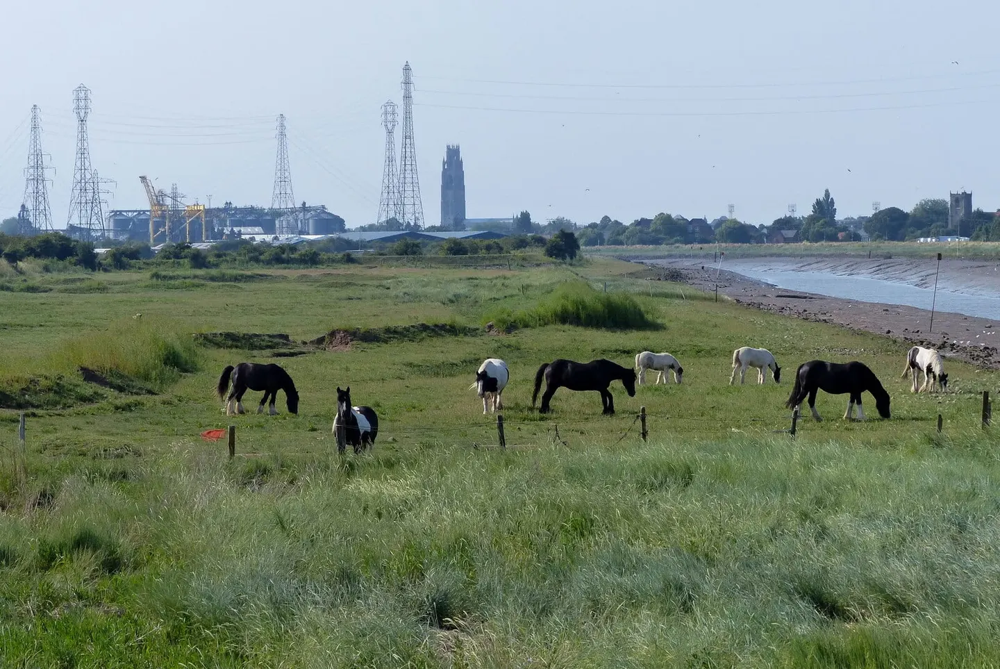 Photo of Havenside Country Park, a country park near Boston, Lincolnshire, central England.