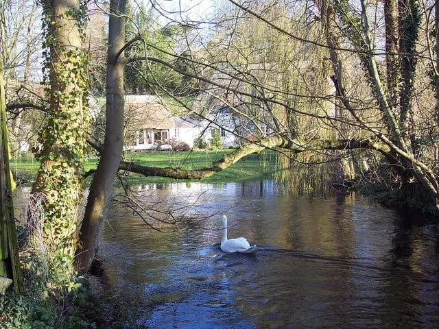 Photo of the River Till, a 9-mile river running from Tilshead to River Wylye at Stapleford, south west England.