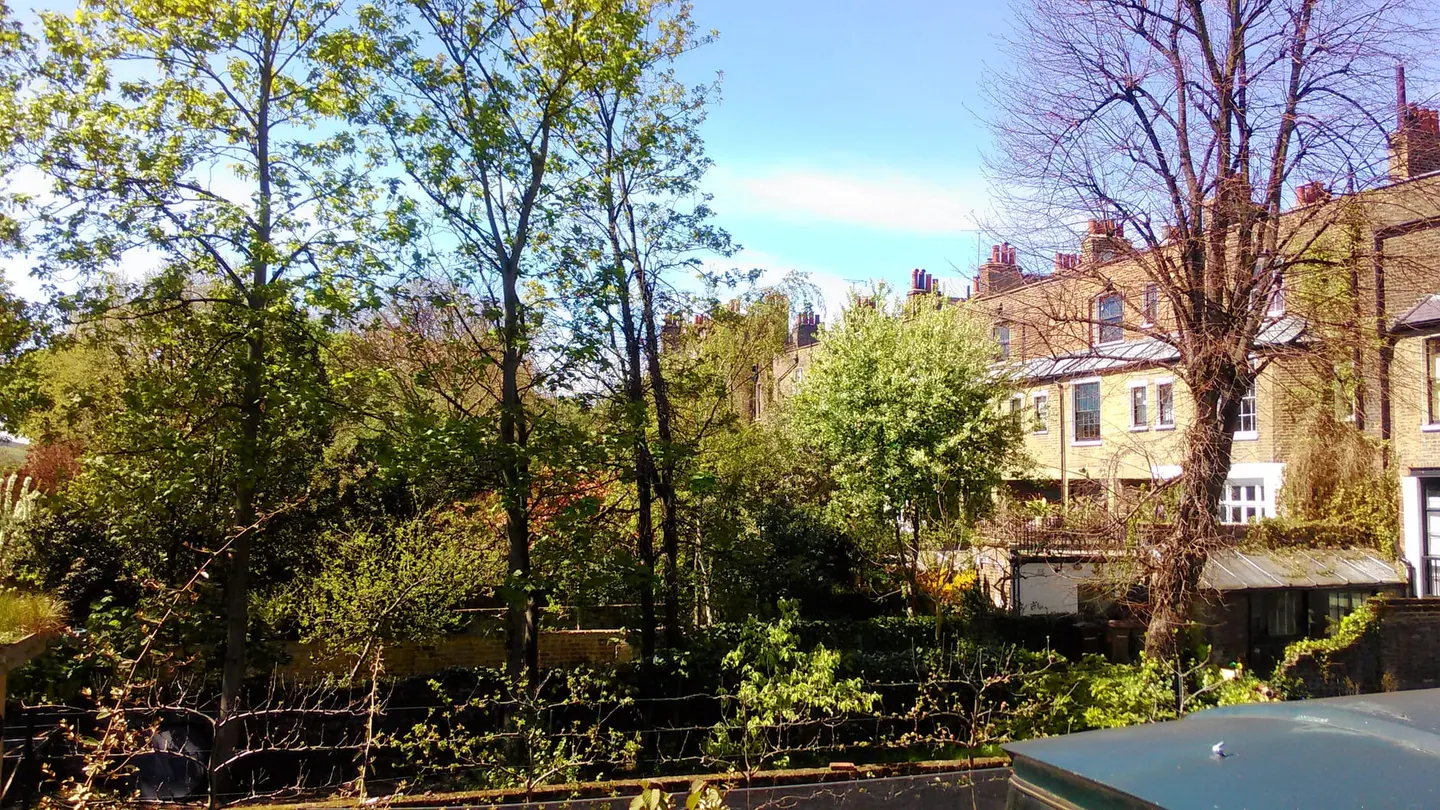 Photo of Sutton House, a house & garden in London, England.