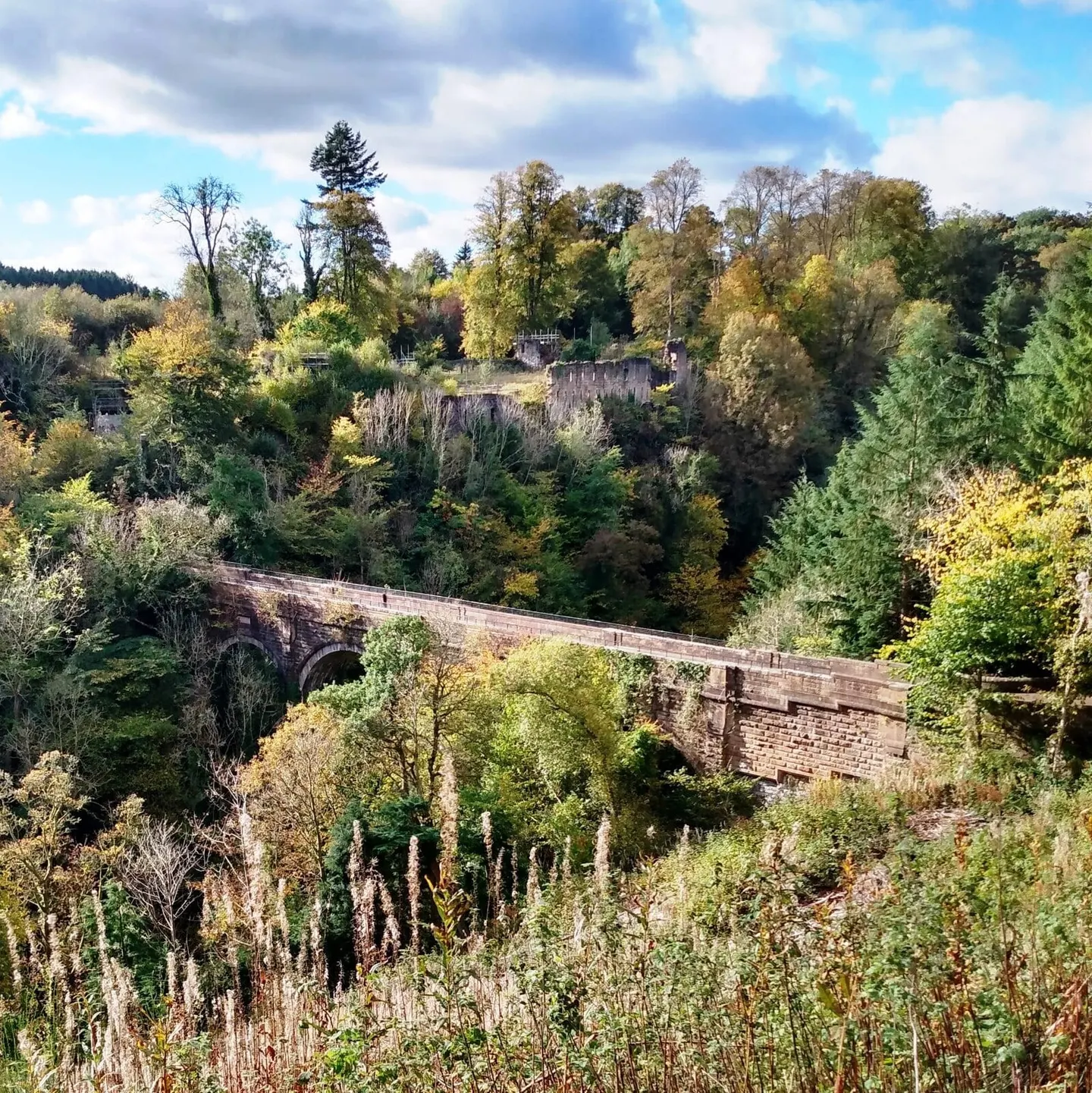 Photo of Cadzow Castle, a ruined castle near Bothwell, South Lanarkshire, southern Scotland.