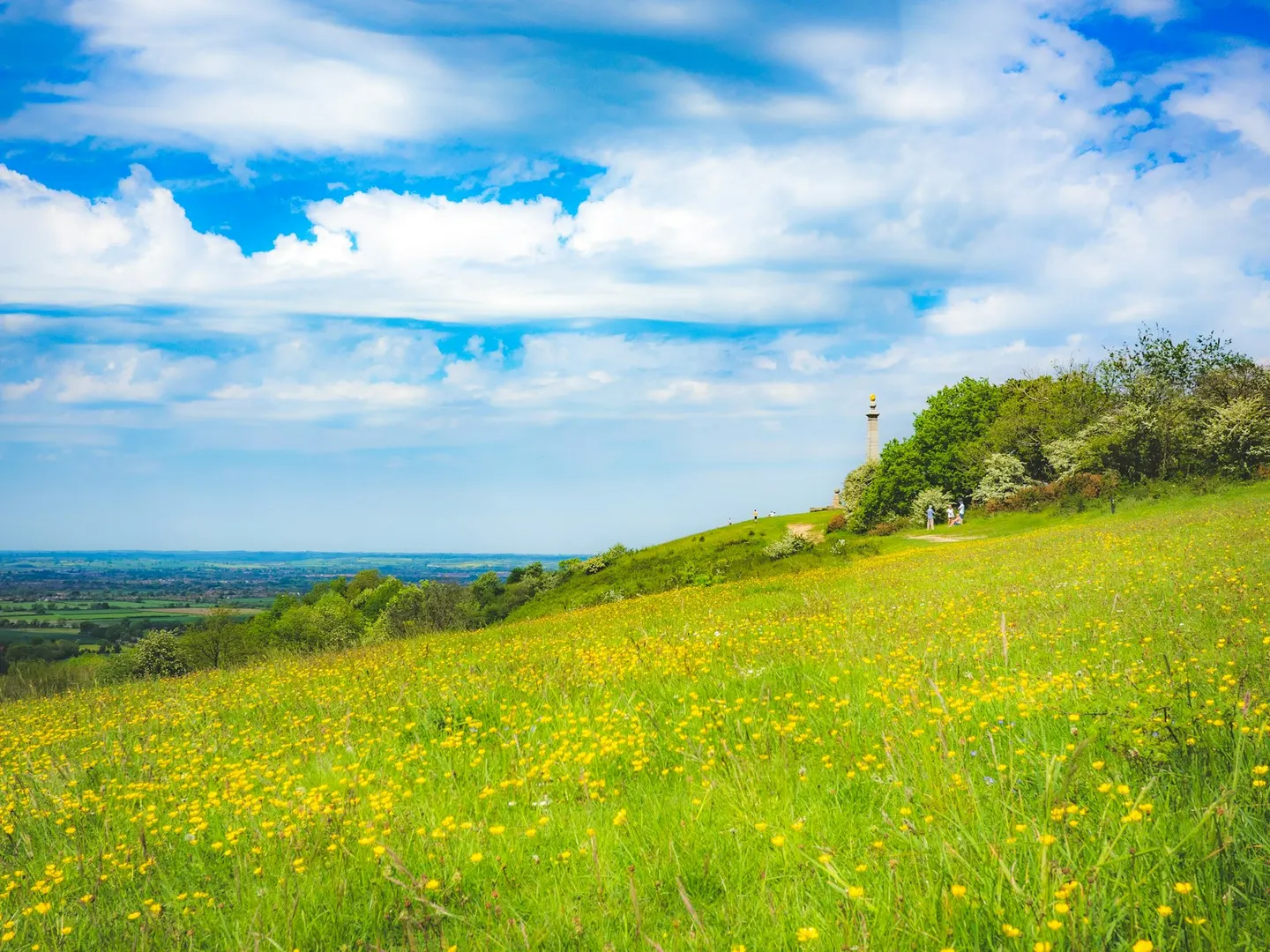 Photo of Bacombe and Coombe Hills, a Site of Special Scientific Interest near Wendover, Buckinghamshire, south east England.