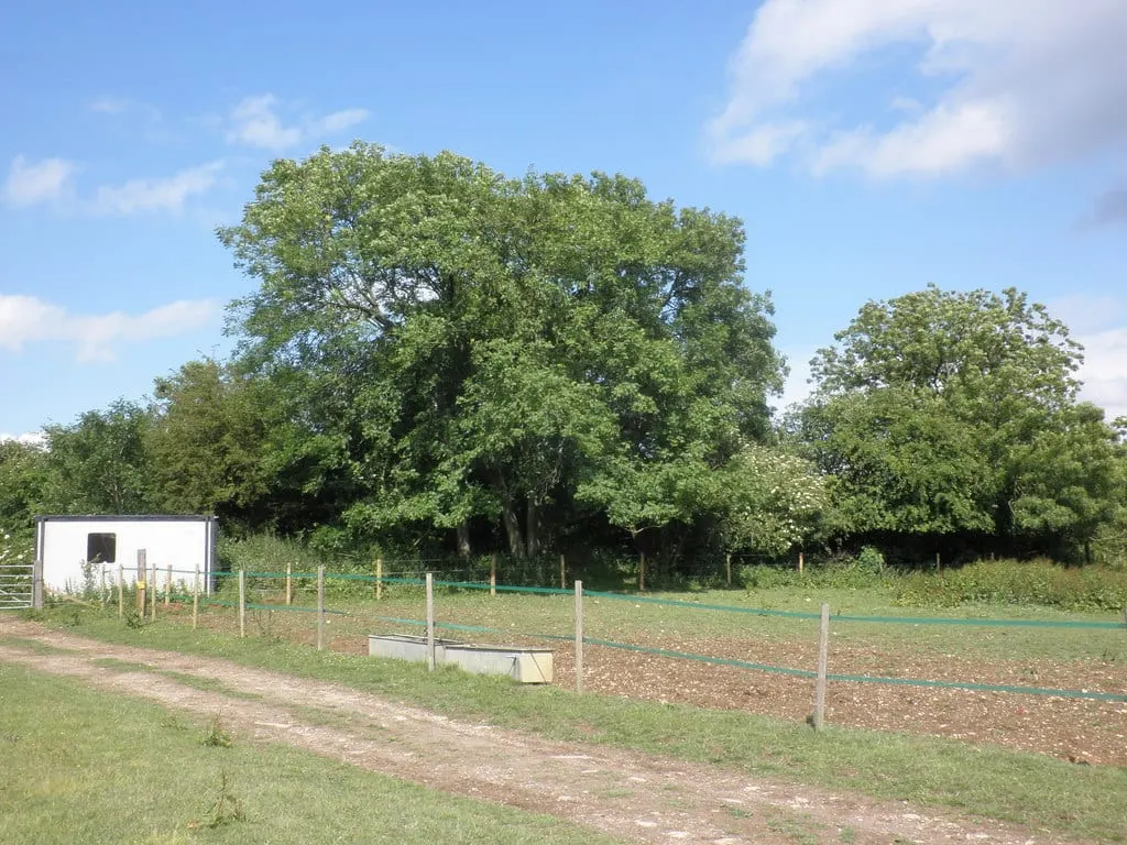 Photo: Betsom's Hill, a 251m hill near Otford, Kent, south east England.