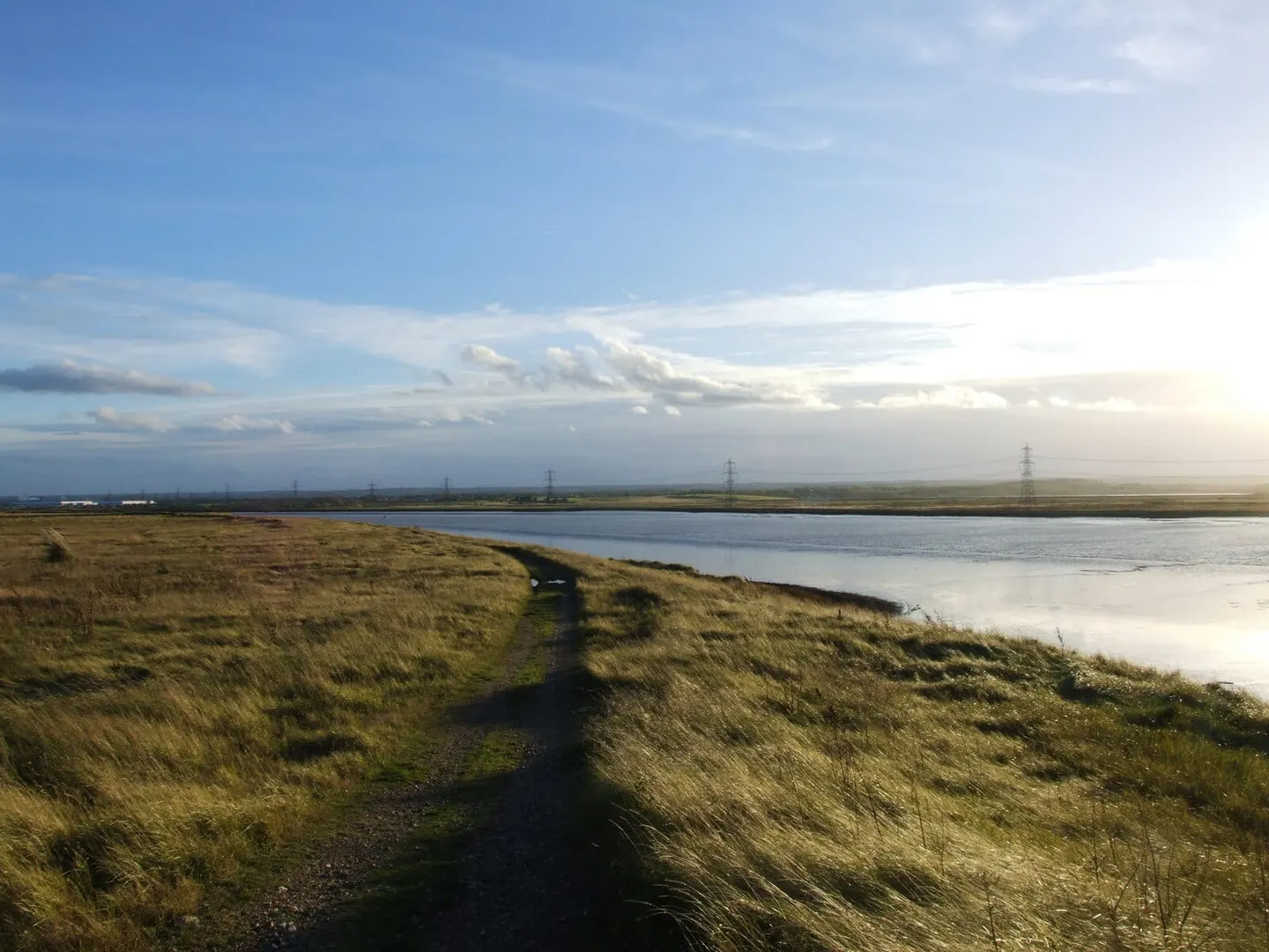 Photo of The Swale, a National Nature Reserve near Faversham, Kent, south east England.