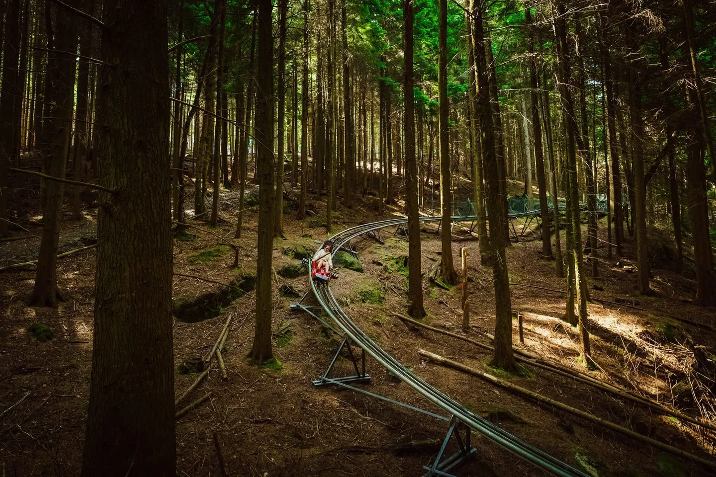 Photo of Fforest Coaster, a visitor attraction near Betws-y-Coed in Eryri, Conwy, north Wales.
