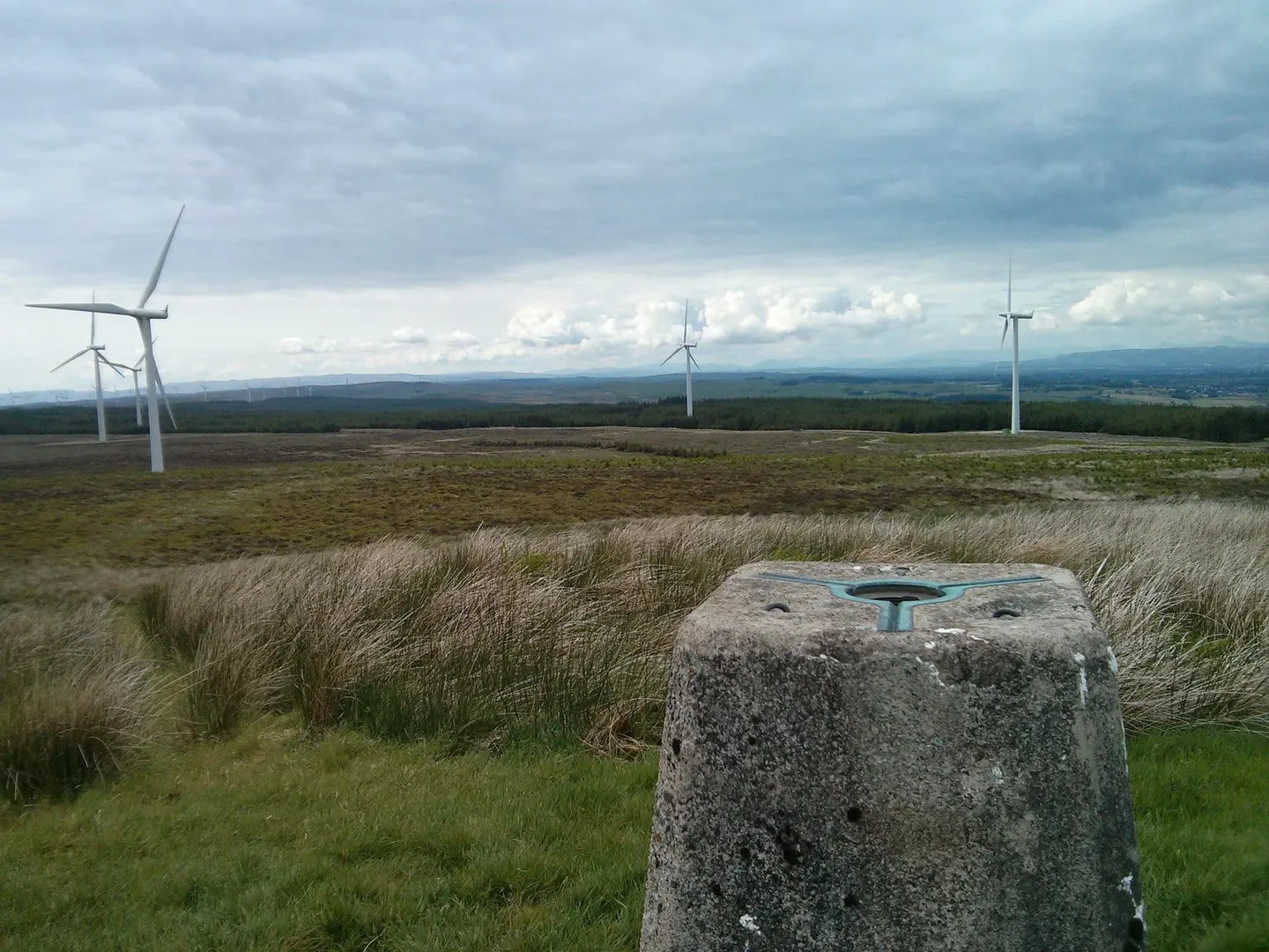 Photo: Corse Hill, a 376m hill near Eaglesham, East Renfrewshire, central Scotland.