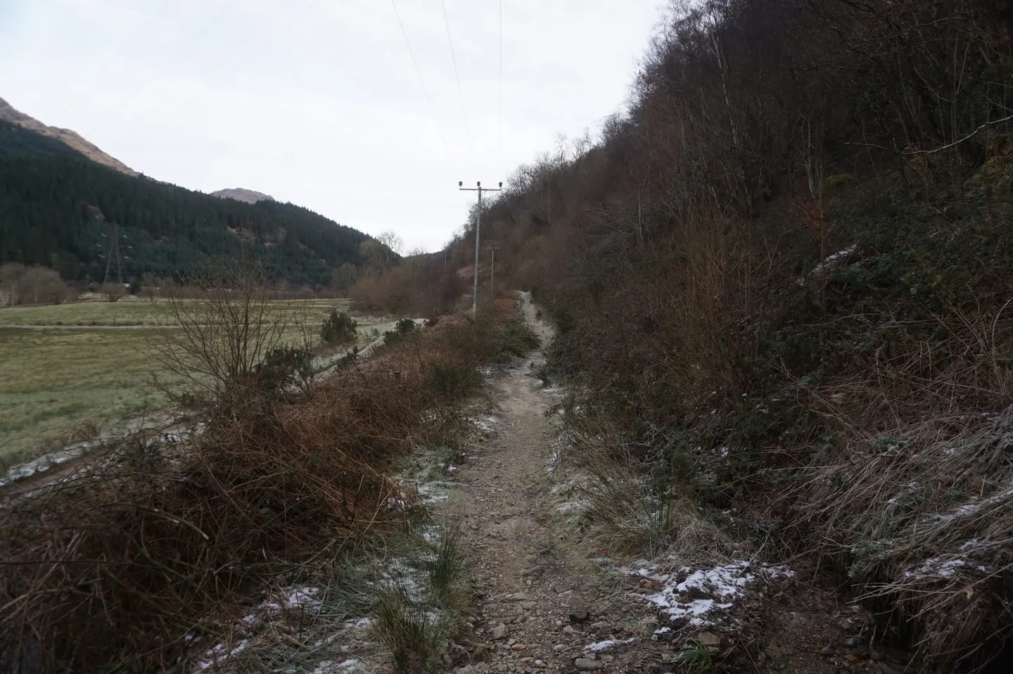 Photo along the Loch Lomond & Cowal Way, a long-distance trail running from Portavadie to Inveruglas, the Scottish Highlands and Islands.