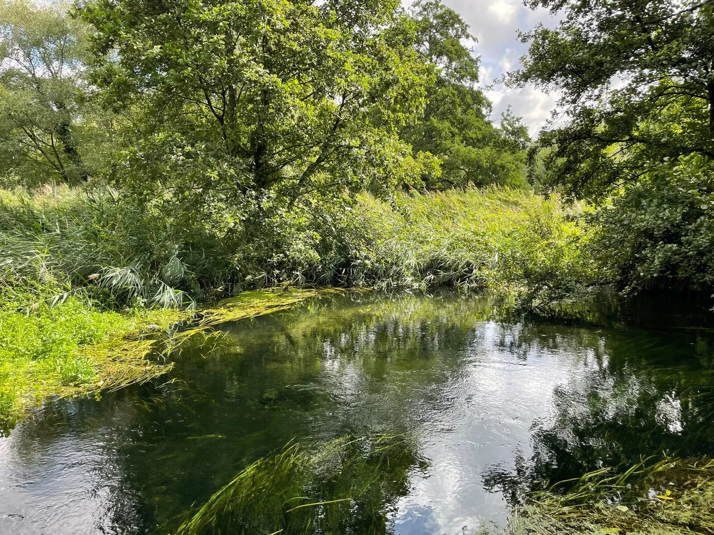 Photo of Winnall Moors, a nature reserve near Winchester in the South Downs, Hampshire, south east England.