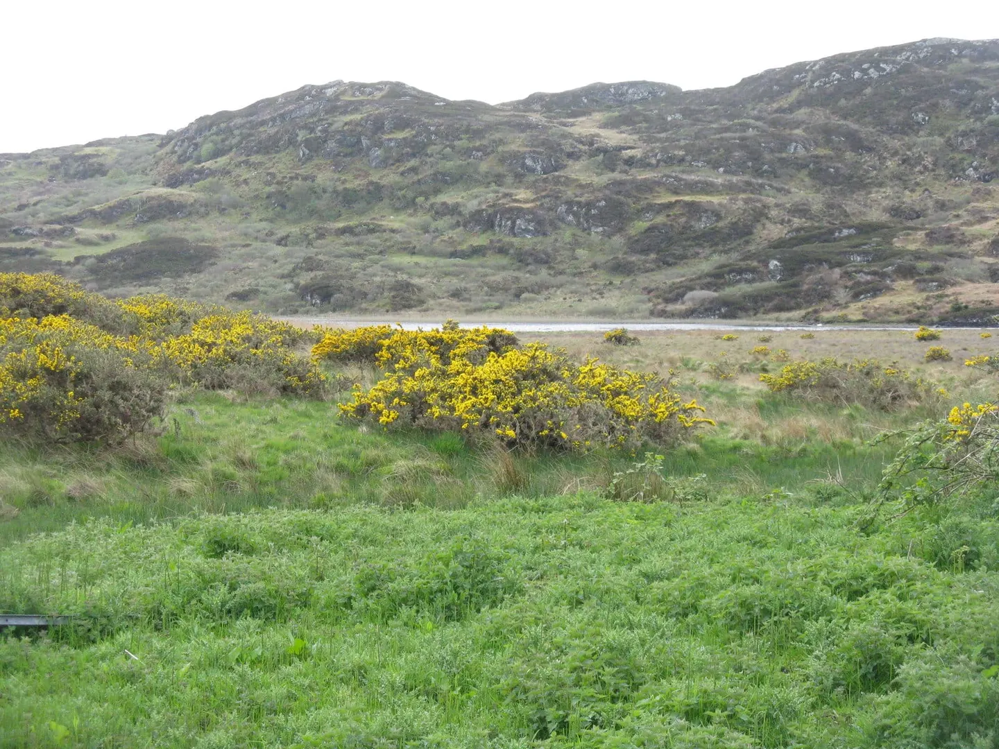 Photo of the Isle of Colonsay, an island in Argyll and Bute, the Scottish Highlands and Islands.