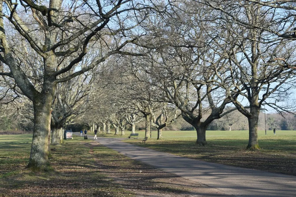 Photo of Southampton Common Country Park, a country park in Hampshire, south east England.