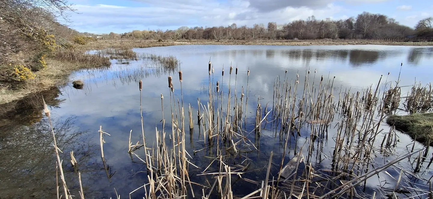 Photo of Merkinch Local Nature Reserve, a nature reserve near North Kessock, Highland, the Scottish Highlands and Islands.
