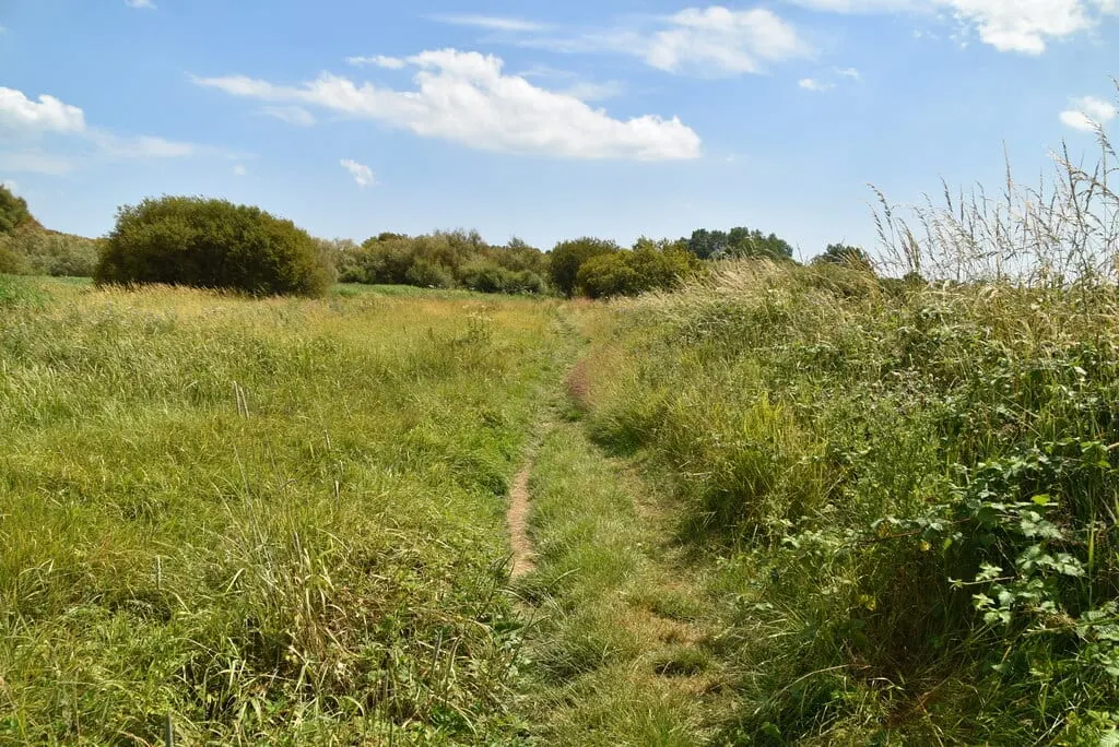 Photo of Filsham Reedbed, a nature reserve near Hastings, East Sussex, south east England.