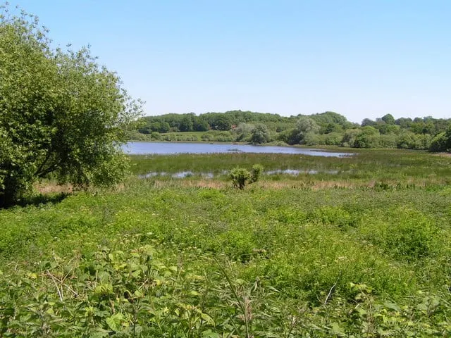 Photo of Weir Wood Reservoir, a Site of Special Scientific Interest near West Hoathly in the High Weald, East Sussex, south east England.