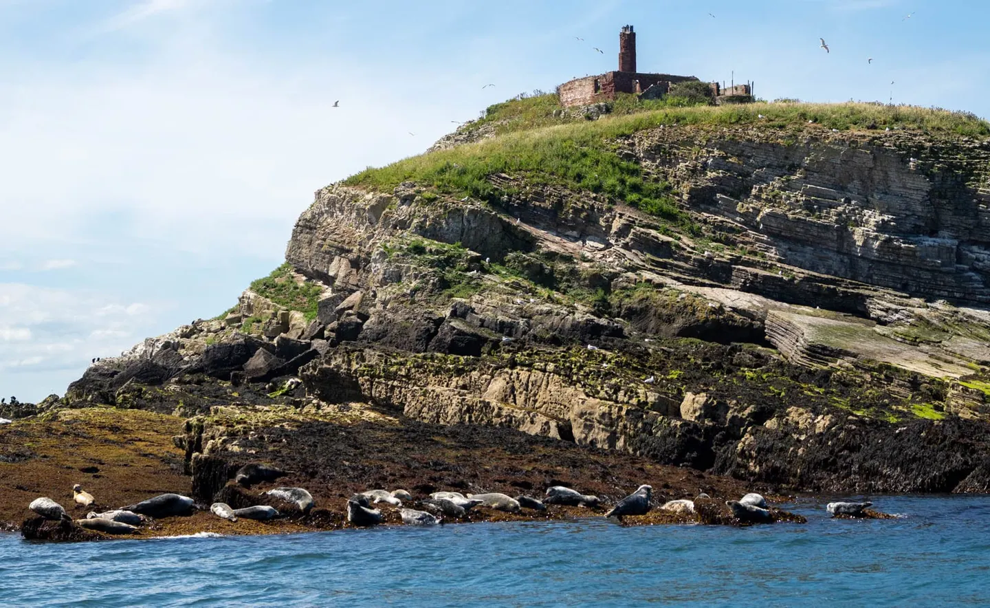 Photo of Puffin Island, an island in Anglesey, north Wales.
