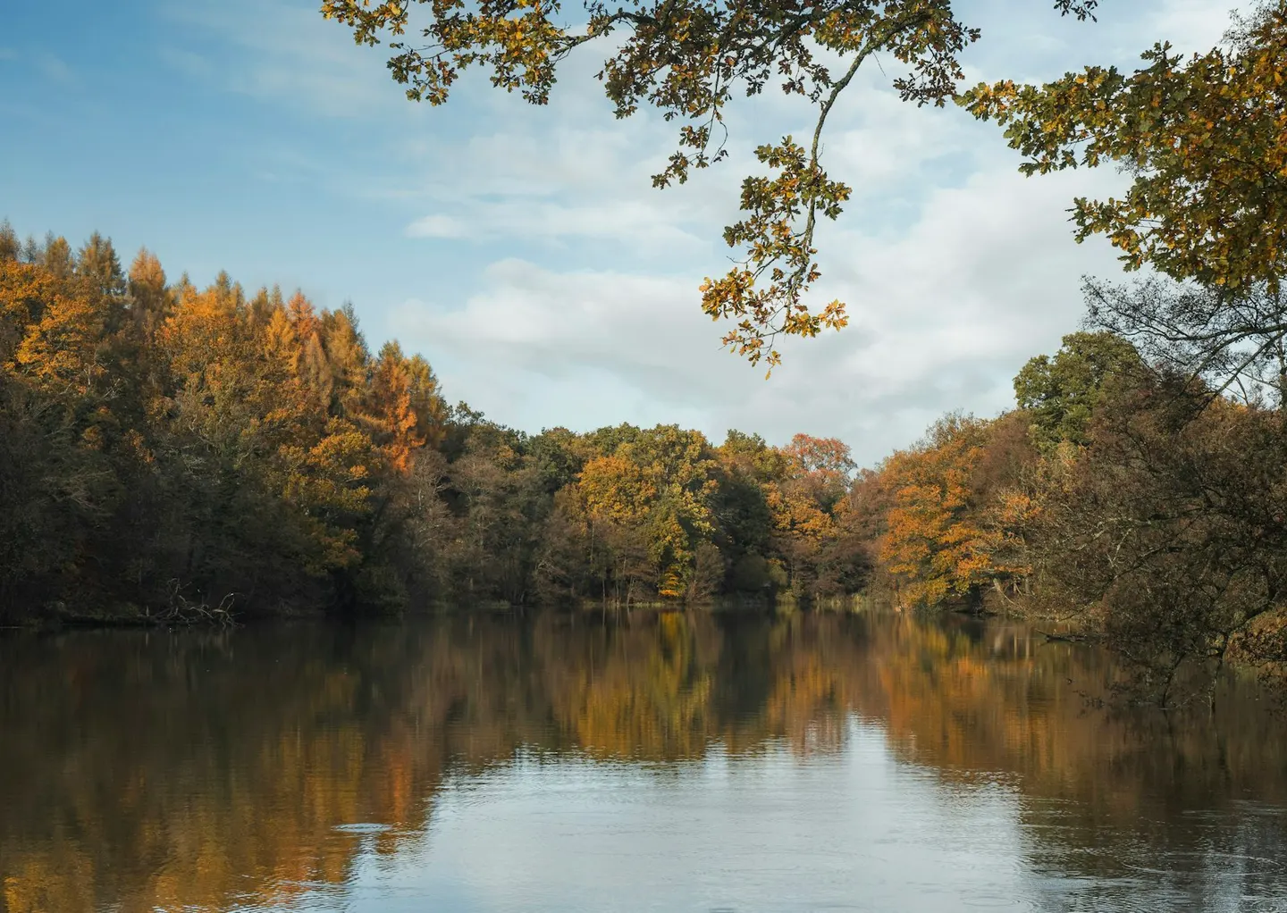 Photo of Cannop Ponds, a Lake near Newland, Gloucestershire, south west England.