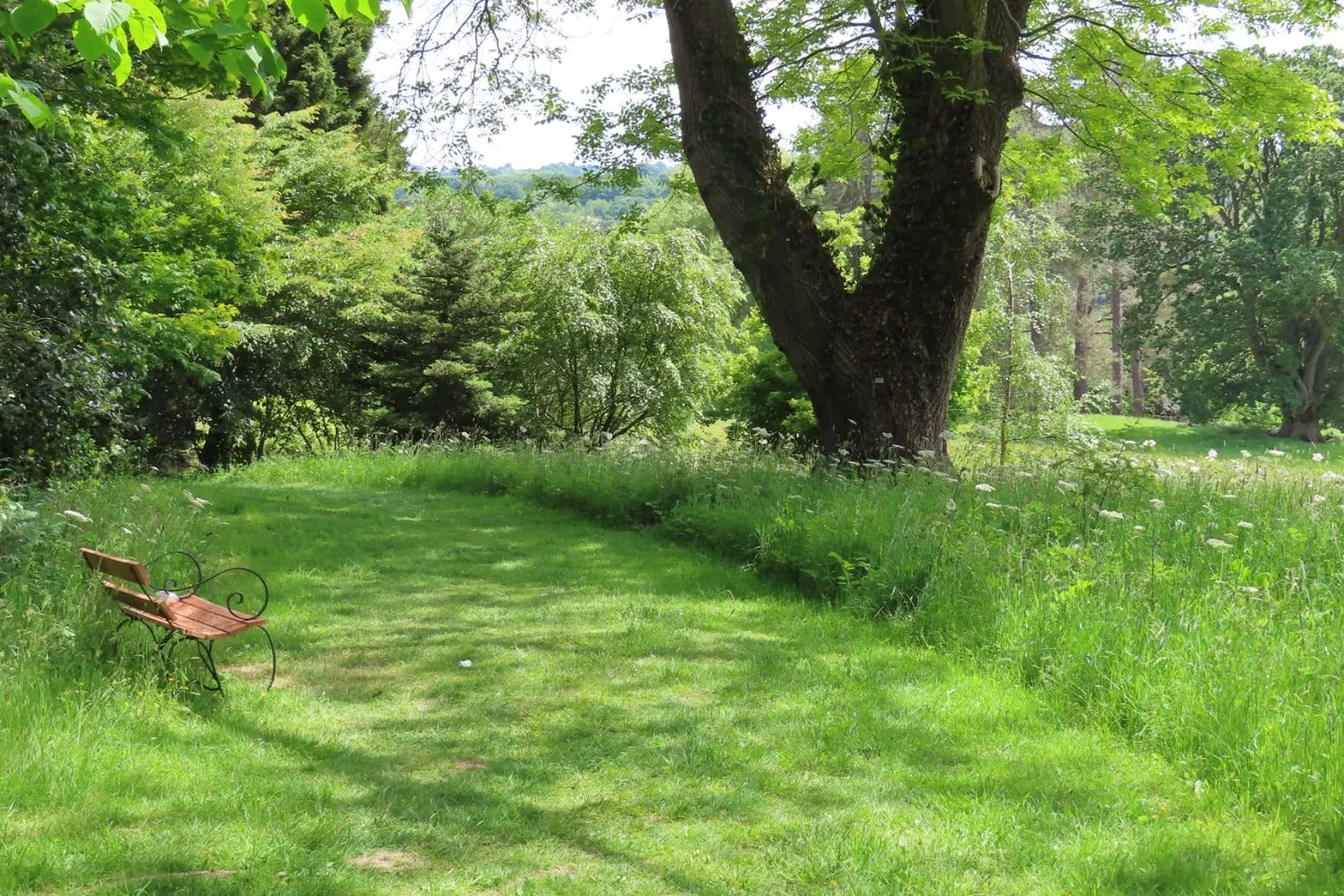 Photo of Hergest Croft, a Grade II* registered house & garden near Kington, Herefordshire, central England.