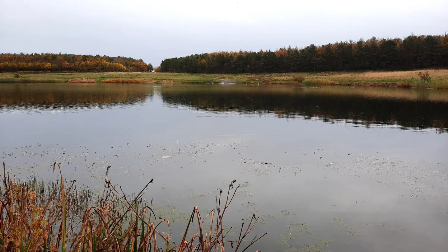 Photo of Queen Elizabeth Ii Country Park, a country park near Newbiggin-by-the-Sea, Northumberland, north east England.